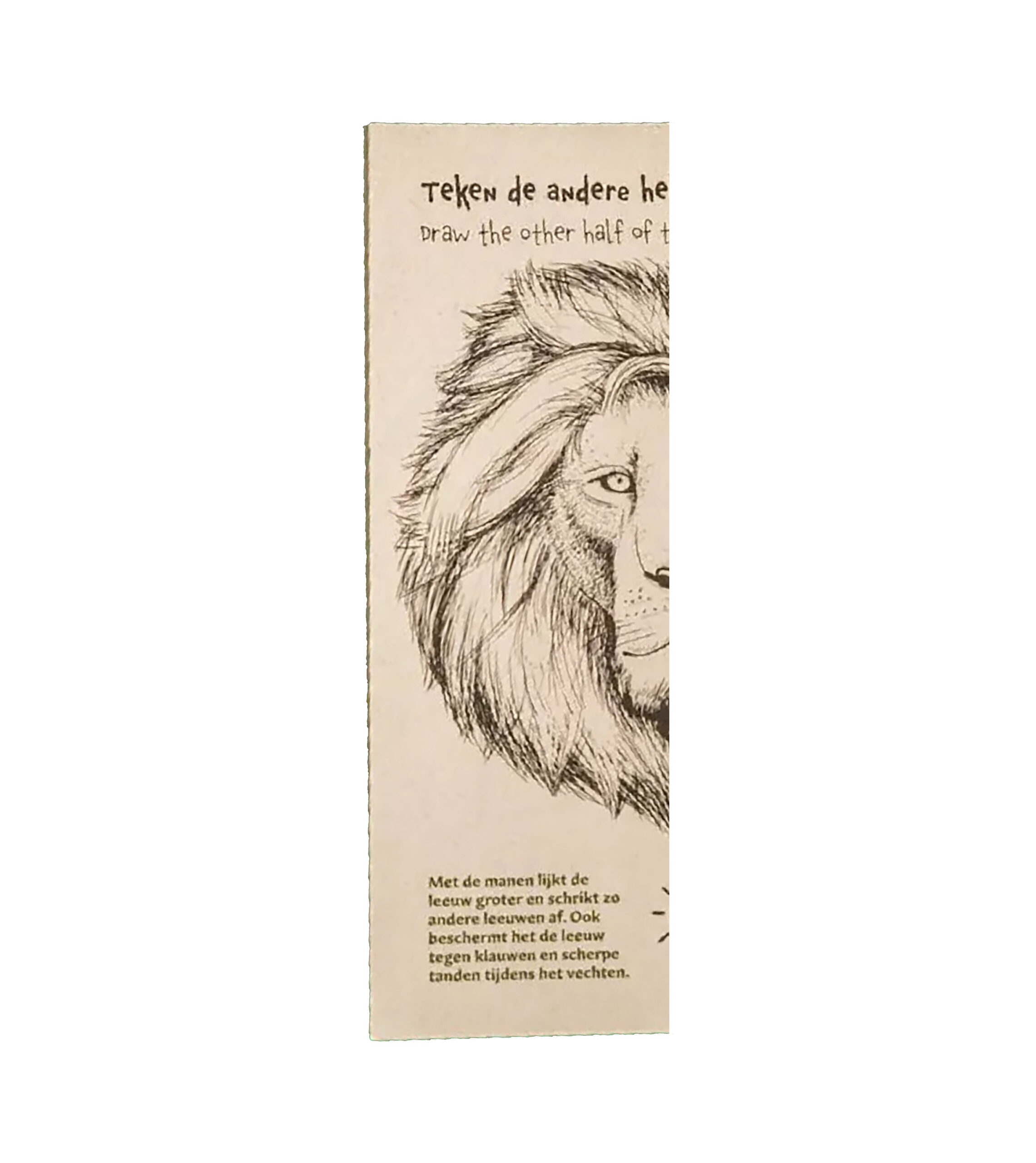 BOOKMARKS SUGARCANE 14_