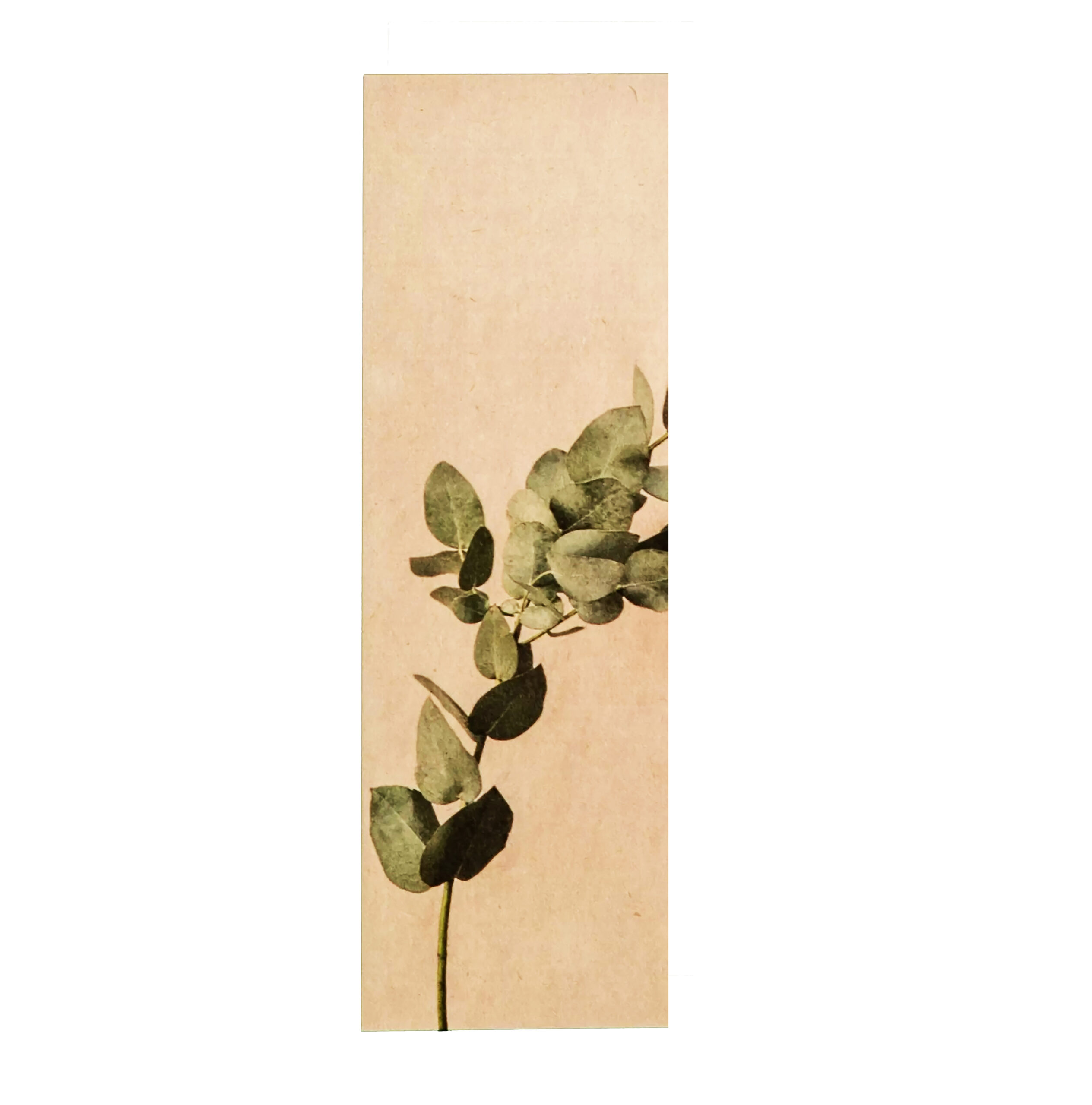 BOOKMARKS SUGARCANE 16_