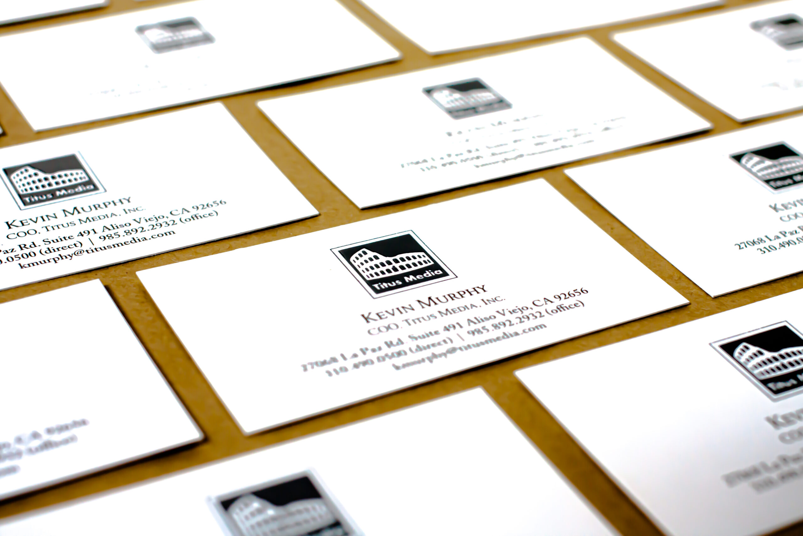 BUSINESS CARDS STANDARD 1